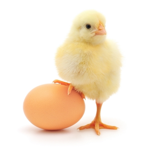 5370